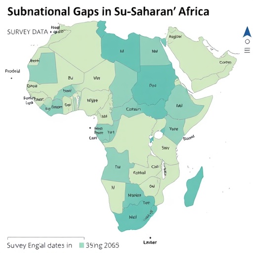 subnational-gaps-in-sub-saharan-africa-survey-data