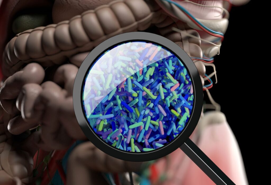 gut-fungus-shows-promise-in-reversing-mash-in-mice