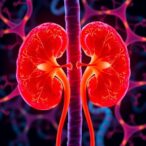 dna-damage-in-kidneys-drives-metabolic-dysfunction-systemically