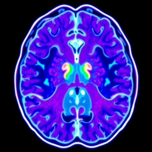 needle-biopsies-enable-multimodal-data-in-glioblastoma