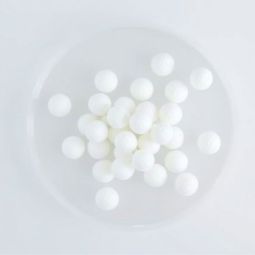 degradable-poly(β-amino-ester)-microparticles-revolutionize-cleansing,-fortification
