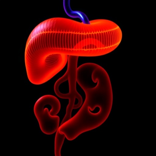 extrahepatic-ugt1a1’s-role-in-neonatal-bilirubin