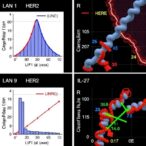 zmynd8-boosts-her2-antibody-resistance-via-lipid-il-27