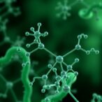 cytosolic-nadk-crucial-for-folate-driven-nucleotide-synthesis