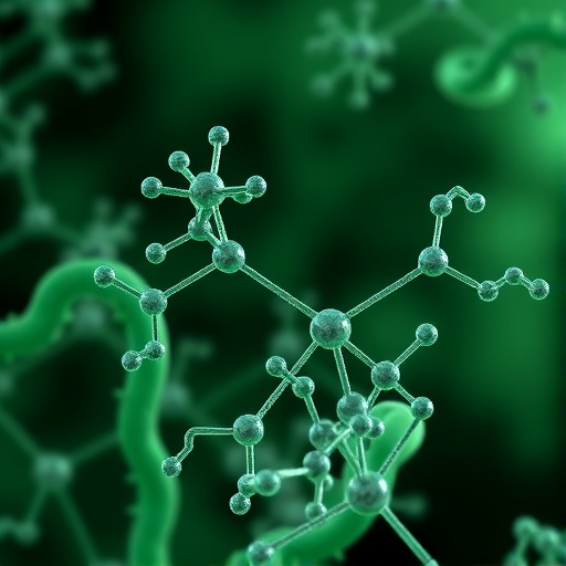 cytosolic-nadk-crucial-for-folate-driven-nucleotide-synthesis