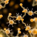 bacteria-engineered-to-produce-aromatic-esters-from-glycerol