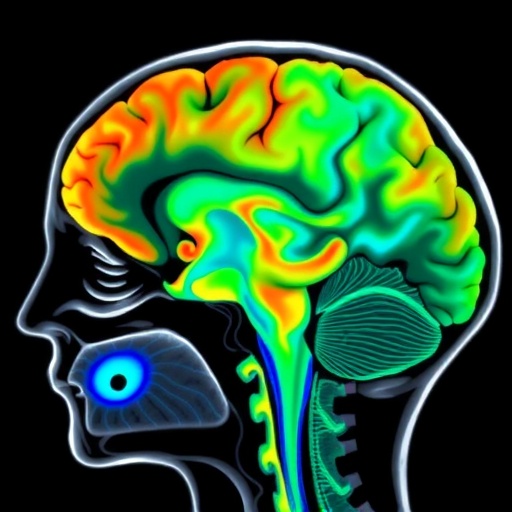 mr-perfusion-mapping-reveals-neural-activation-effects