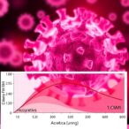 modeling-hiv-cure’s-impact-on-transmission-dynamics