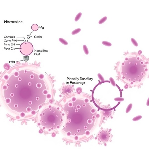 nitroxoline’s-action-and-resistance-in-gram-negative-bacteria