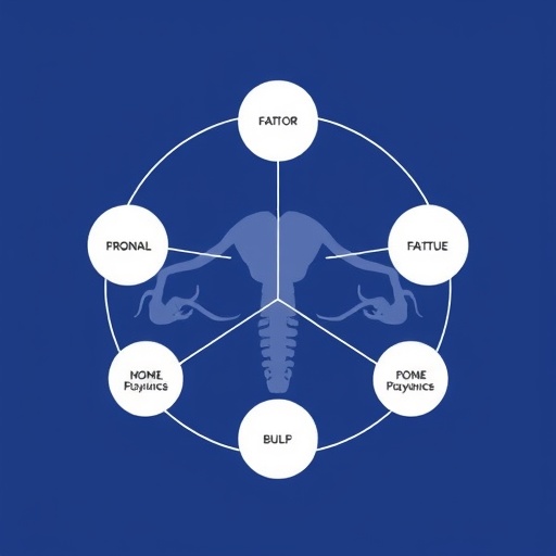 cancer-related-fatigue-in-gynecological-tumors