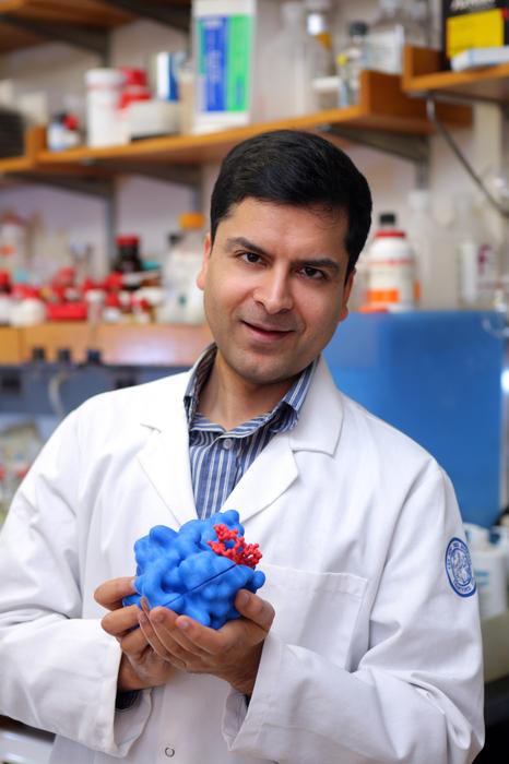 how-a-small-rna-modification-regulates-cellular-stress-responses