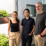 boosting-crop-yields-and-cutting-environmental-impact-through-vertical-farming