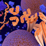 regeneration-biomedical’s-cell-therapy-reduces-tau,-boosts-cognition-in-alzheimer’s-cases