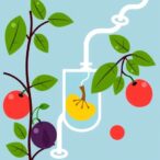 enhancing-biogas-production-and-fermentation:-the-role-of-fruits-and-microbes