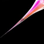 introducing-a-pipette-capable-of-stimulating-individual-neurons