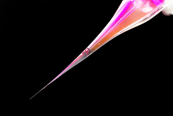 introducing-a-pipette-capable-of-stimulating-individual-neurons