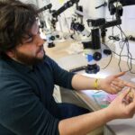 triassic-fossil-uncovers-nature’s-ultimate-jaw-adaptation-for-hunting-swift-fish