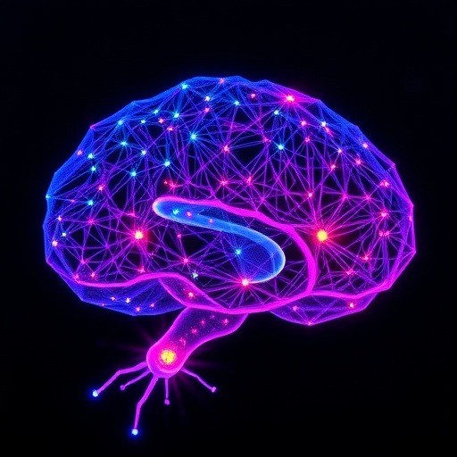 light-microscopy-maps-mammalian-brain-connections