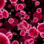genome-wide-blood-cell-variance-unlocks-complex-trait-insights
