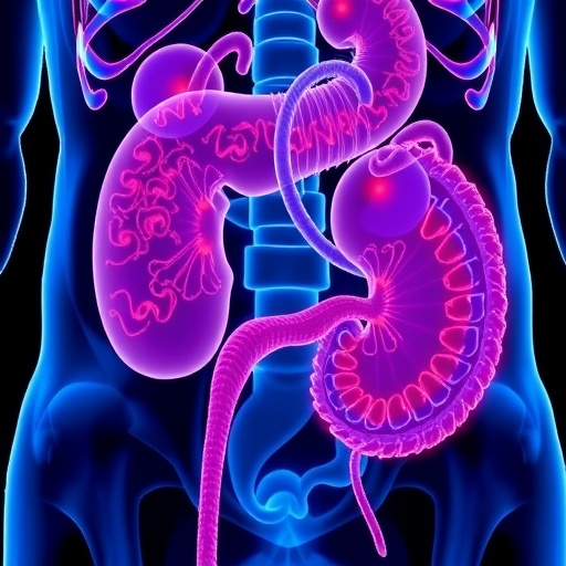 renal-carcinoma-types-linked-to-perirenal-fat