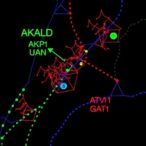 akap1-loss-worsens-masld-via-gpat1-activation
