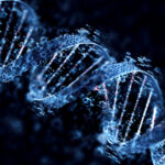 ai-designed-dna-sequences-modulate-cell-differentiation-for-gene-therapy-applications