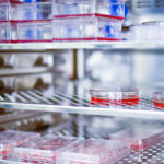 first-time-production-of-an-artificial-human-platelet-lysate