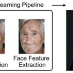 ai-tool-analyzes-facial-images-to-estimate-biological-age-and-forecast-cancer-prognosis