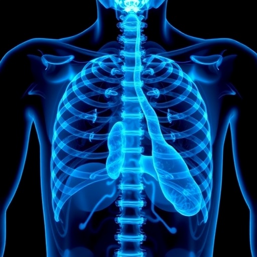 camrelizumab,-apatinib,-irinotecan:-new-esophageal-cancer-therapy