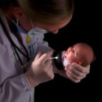 tracking-human-milk-lactoferrin-over-first-year