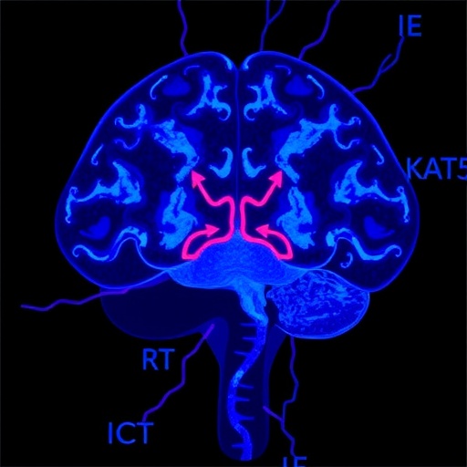 kat5-controls-neurodevelopmental-states-in-glioblastoma