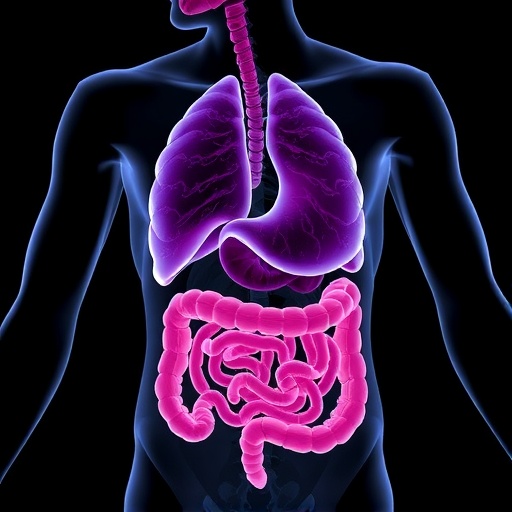 gut-microbiota-pathways-influence-csag1-in-chondrosarcoma
