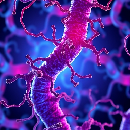 major-vault-protein-boosts-mitophagy-to-ease-vascular-remodeling