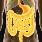 human-milk-oligosaccharides-protect-against-gut-injury