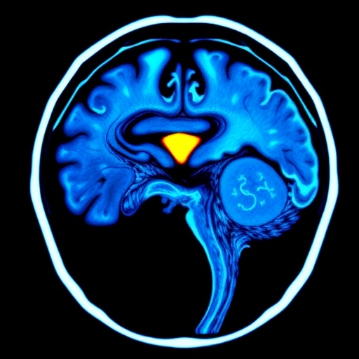 minimally-invasive-stroke-model-for-awake-mice