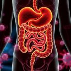 nicotinamide-boosts-gut-microbes,-speeds-covid-19-recovery