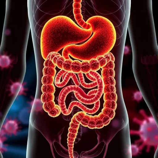 nicotinamide-boosts-gut-microbes,-speeds-covid-19-recovery