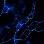 mecp2-and-dna-methylation-stabilize-long-gene-expression