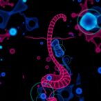 research-spotlight:-new-‘cell-line-atlas’-advances-therapy-development-for-biliary-tract-cancer