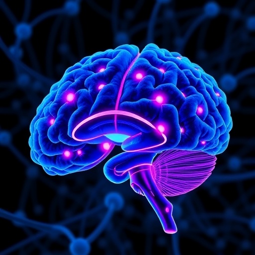 novel-compound-targets-cellular-circadian-clock-to-combat-glioblastoma