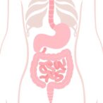 assessing-elimination-diet-in-cmp-allergic-proctocolitis