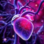 scientists-capture-earliest-3d-footage-of-heart-formation