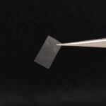 scientists-create-innovative-living-material-using-fungi