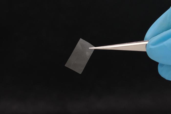 scientists-create-innovative-living-material-using-fungi