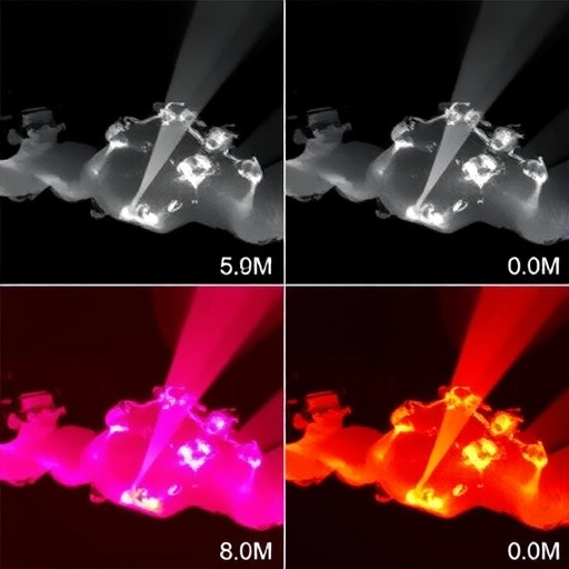 unveiling-near-infrared-emissions-from-manganese-(ii)