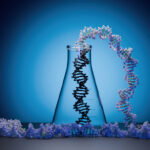 from-functional-genomics-to-cell-therapy:-the-role-of-crispr-based-gene-editing