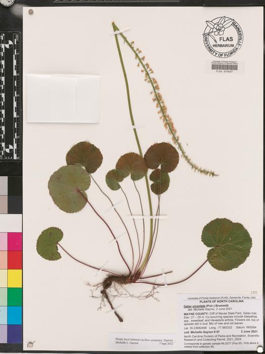 this-rare-plant-achieves-what-scientists-once-deemed-impossible