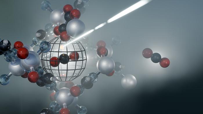 decoding-carbon-capture:-how-nature-and-technology-trap-carbon