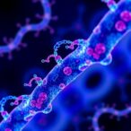 o-glcnacylation-of-nono-drives-colon-cancer-growth