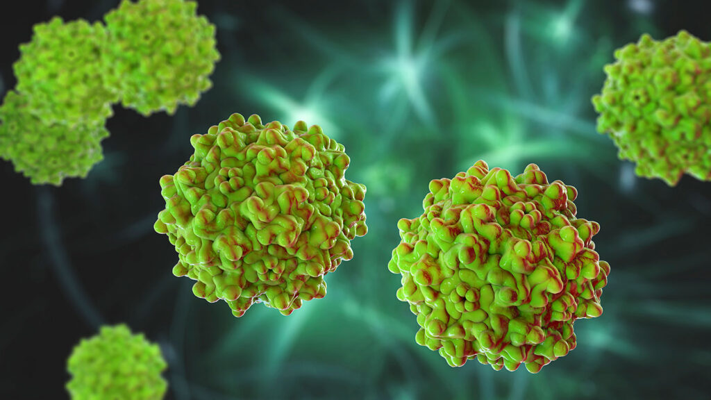 mass-photometry-speeds-up-gene-therapy-manufacturing—no-purification-needed